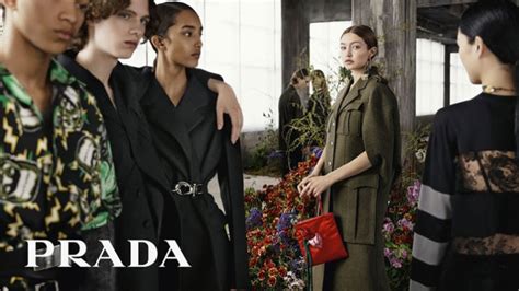 prada lavoro con noi|prada job opportunities.